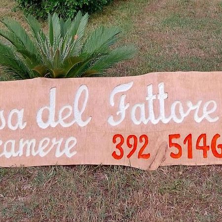 Casa Del Fattore Osimo Dış mekan fotoğraf